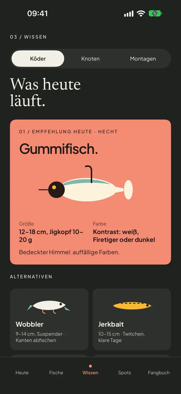 Screenshot der App bissli