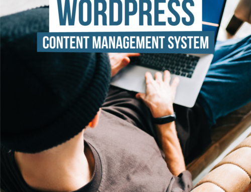 WordPress – Das Content Management System unter der Lupe
